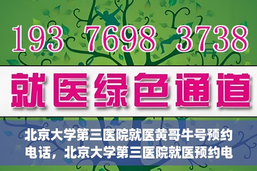 北京大学第三医院就医黄哥牛号预约电话，北京大学第三医院就医预约电话及黄哥牛号预约攻略