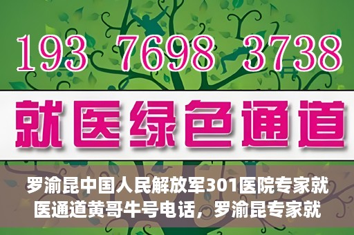 罗渝昆中国人民解放军301医院专家就医通道黄哥牛号电话，罗渝昆专家就医通道揭秘，中国人民解放军301医院黄哥牛号电话专线开通