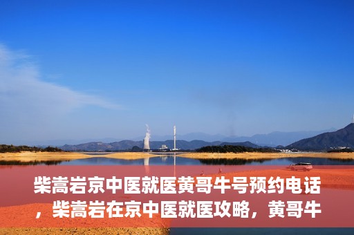 柴嵩岩京中医就医黄哥牛号预约电话，柴嵩岩在京中医就医攻略，黄哥牛号预约电话全解析