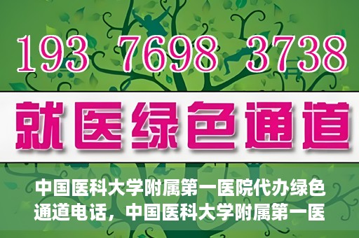 中国医科大学附属第一医院代办绿色通道电话，中国医科大学附属第一医院绿色通道代办服务热线揭秘