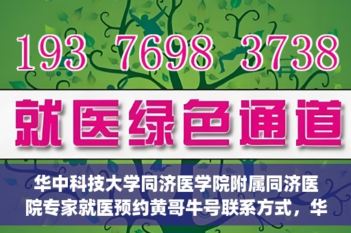 华中科技大学同济医学院附属同济医院专家就医预约黄哥牛号联系方式，华中科技大学同济医院专家预约挂号指南，黄哥牛号联系方式全解析