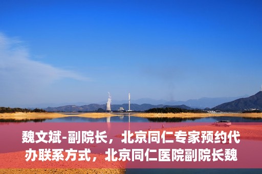 魏文斌-副院长，北京同仁专家预约代办联系方式，北京同仁医院副院长魏文斌专家预约联系方式及代办服务指南
