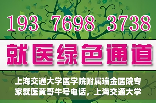 上海交通大学医学院附属瑞金医院专家就医黄哥牛号电话，上海交通大学医学院附属瑞金医院专家就医黄哥牛号电话详解，权威医疗资源的便捷通道