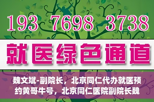 魏文斌-副院长，北京同仁代办就医预约黄哥牛号，北京同仁医院副院长魏文斌揭秘，黄哥牛号助您轻松预约就医新攻略