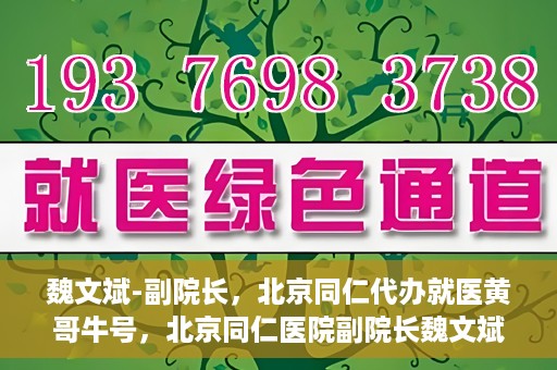 魏文斌-副院长，北京同仁代办就医黄哥牛号，北京同仁医院副院长魏文斌，就医黄哥牛号的背后故事
