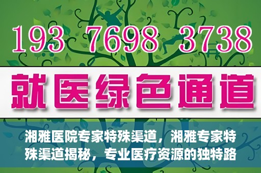 湘雅医院专家特殊渠道，湘雅专家特殊渠道揭秘，专业医疗资源的独特路径探索