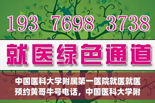 中国医科大学附属第一医院就医就医预约黄哥牛号电话，中国医科大学附属第一医院就医预约电话揭秘，黄哥牛号预约专线亮相