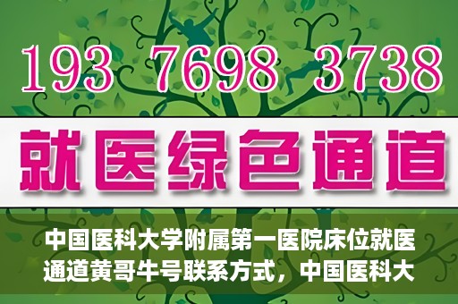 中国医科大学附属第一医院床位就医通道黄哥牛号联系方式，中国医科大学附属第一医院床位就医通道，黄哥牛号联系方式全解析