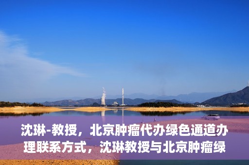沈琳-教授，北京肿瘤代办绿色通道办理联系方式，沈琳教授与北京肿瘤绿色通道，便捷办理联系方式揭秘