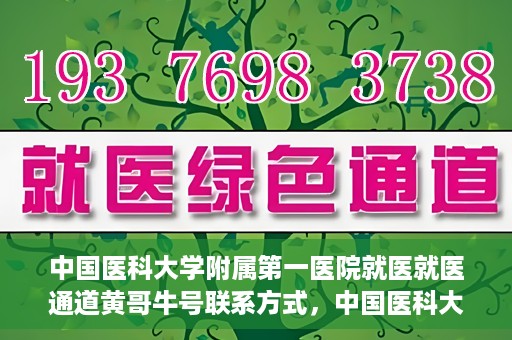 中国医科大学附属第一医院就医就医通道黄哥牛号联系方式，中国医科大学附属第一医院就医通道，黄哥牛号联系方式全解析