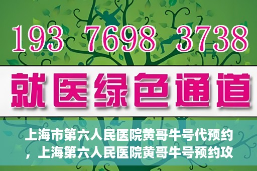 上海市第六人民医院黄哥牛号代预约，上海第六人民医院黄哥牛号预约攻略，轻松解决挂号难题