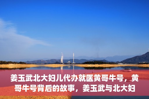 姜玉武北大妇儿代办就医黄哥牛号，黄哥牛号背后的故事，姜玉武与北大妇儿的就医代办之路