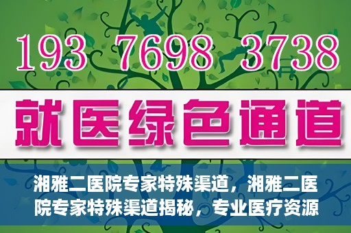 湘雅二医院专家特殊渠道，湘雅二医院专家特殊渠道揭秘，专业医疗资源的独特通道探索