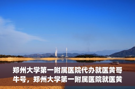 郑州大学第一附属医院代办就医黄哥牛号，郑州大学第一附属医院就医黄哥牛号代办服务解析