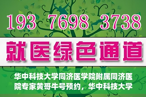 华中科技大学同济医学院附属同济医院专家黄哥牛号预约，华中科技大学同济医院黄哥牛号专家预约指南