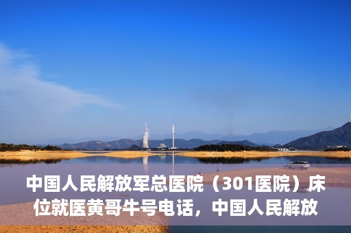中国人民解放军总医院（301医院）床位就医黄哥牛号电话，中国人民解放军总医院（301医院）床位预约就医攻略，黄哥牛号电话全解析