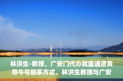 林洪生-教授，广安门代办就医通道黄哥牛号联系方式，林洪生教授与广安门就医通道，黄哥牛号联系方式揭秘