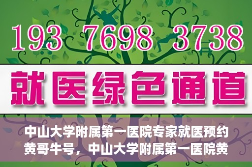 中山大学附属第一医院专家就医预约黄哥牛号，中山大学附属第一医院黄哥牛号专家预约指南