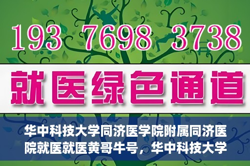 华中科技大学同济医学院附属同济医院就医就医黄哥牛号，华中科技大学同济医院就医体验分享，黄哥牛号就医之旅