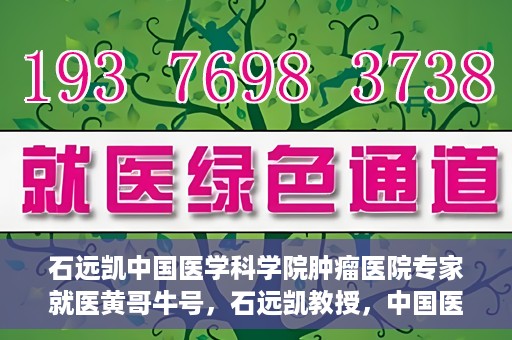 石远凯中国医学科学院肿瘤医院专家就医黄哥牛号，石远凯教授，中国医学科学院肿瘤医院权威专家解析黄哥牛号就医攻略