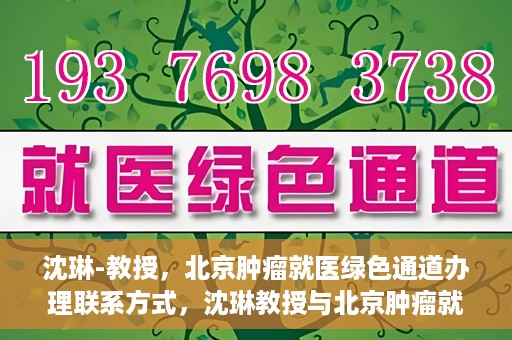 沈琳-教授，北京肿瘤就医绿色通道办理联系方式，沈琳教授与北京肿瘤就医绿色通道，一站式联系指南