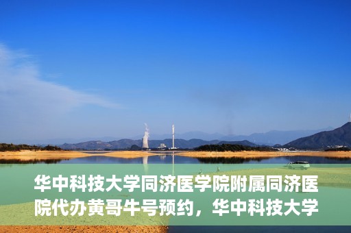 华中科技大学同济医学院附属同济医院代办黄哥牛号预约，华中科技大学同济医院黄哥牛号预约代办服务解析