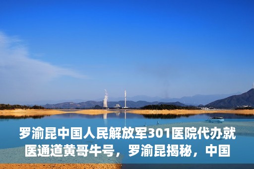 罗渝昆中国人民解放军301医院代办就医通道黄哥牛号，罗渝昆揭秘，中国人民解放军301医院就医通道背后的故事——黄哥牛号传奇