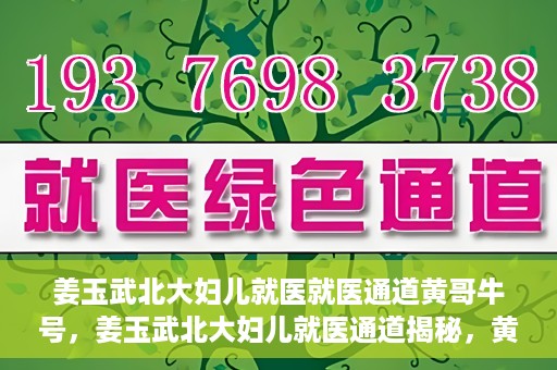 姜玉武北大妇儿就医就医通道黄哥牛号，姜玉武北大妇儿就医通道揭秘，黄哥牛号引领就医新体验