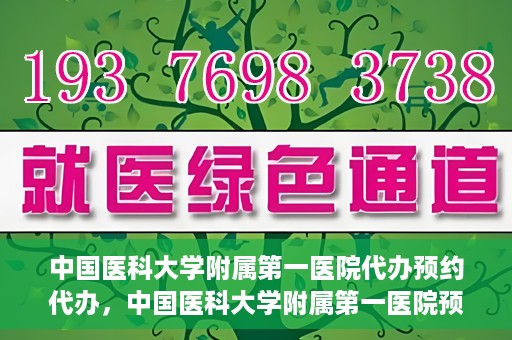 中国医科大学附属第一医院代办预约代办，中国医科大学附属第一医院预约代办服务详解
