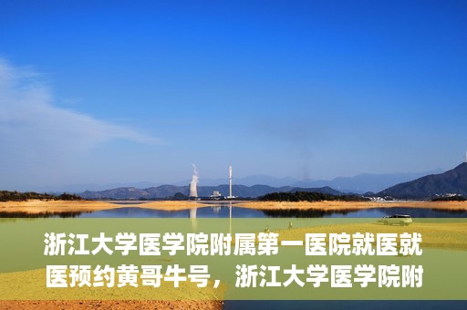 浙江大学医学院附属第一医院就医就医预约黄哥牛号，浙江大学医学院附属第一医院就医预约攻略，黄哥牛号助你轻松挂号就医