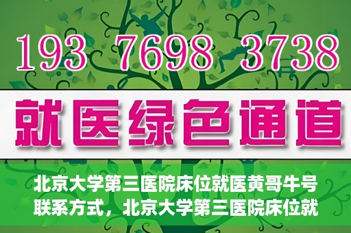 北京大学第三医院床位就医黄哥牛号联系方式，北京大学第三医院床位就医攻略，黄哥牛号联系方式揭秘