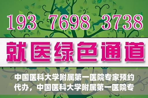 中国医科大学附属第一医院专家预约代办，中国医科大学附属第一医院专家预约代办服务详解