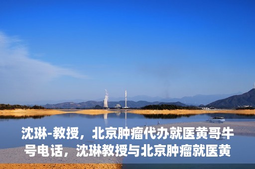 沈琳-教授，北京肿瘤代办就医黄哥牛号电话，沈琳教授与北京肿瘤就医黄哥热线，权威解读牛号电话背后的故事