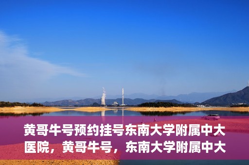 黄哥牛号预约挂号东南大学附属中大医院，黄哥牛号，东南大学附属中大医院预约挂号攻略