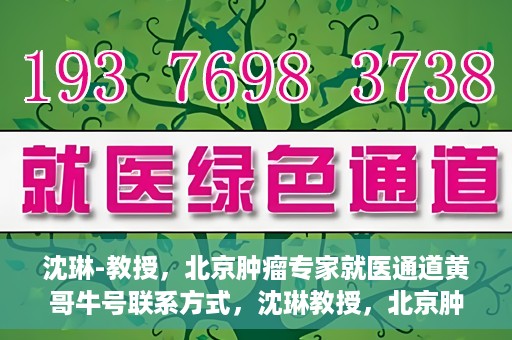 沈琳-教授，北京肿瘤专家就医通道黄哥牛号联系方式，沈琳教授，北京肿瘤专家就医通道揭秘，黄哥牛号联系方式一览无余