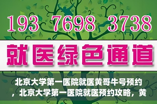 北京大学第一医院就医黄哥牛号预约，北京大学第一医院就医预约攻略，黄哥牛号预约详解