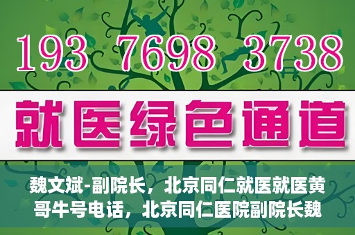 魏文斌-副院长，北京同仁就医就医黄哥牛号电话，北京同仁医院副院长魏文斌，黄哥牛号电话背后的就医故事探索