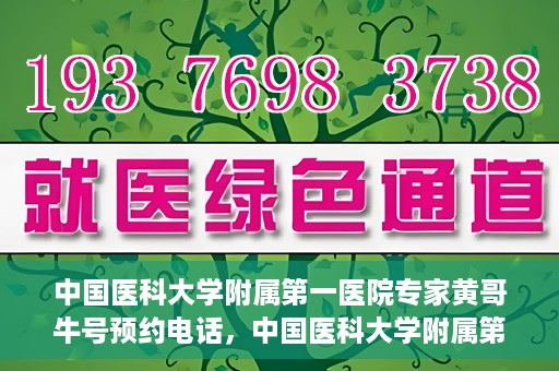中国医科大学附属第一医院专家黄哥牛号预约电话，中国医科大学附属第一医院黄哥牛专家预约电话及挂号攻略
