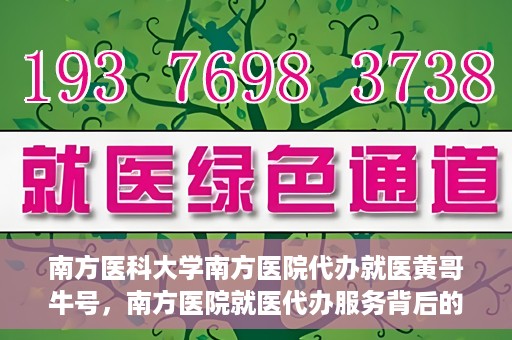 南方医科大学南方医院代办就医黄哥牛号，南方医院就医代办服务背后的故事，黄哥牛号引领就医新风尚