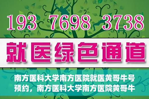 南方医科大学南方医院就医黄哥牛号预约，南方医科大学南方医院黄哥牛号预约就医攻略