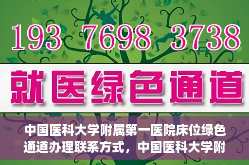 中国医科大学附属第一医院床位绿色通道办理联系方式，中国医科大学附属第一医院床位绿色通道办理指南及联系方式揭秘