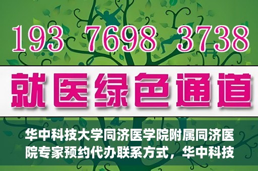 华中科技大学同济医学院附属同济医院专家预约代办联系方式，华中科技大学同济医院专家预约代办服务指南，快速联系专家团队
