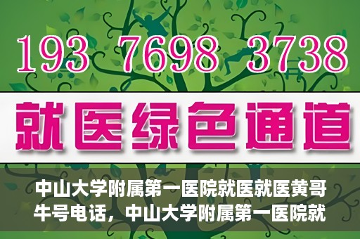 中山大学附属第一医院就医就医黄哥牛号电话，中山大学附属第一医院就医攻略，黄哥牛号电话全解析