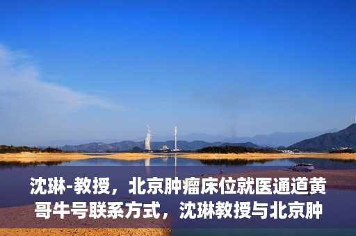沈琳-教授，北京肿瘤床位就医通道黄哥牛号联系方式，沈琳教授与北京肿瘤床位就医通道，黄哥牛号联系方式揭秘
