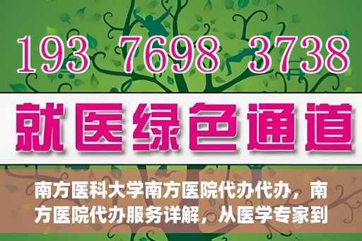 南方医科大学南方医院代办代办，南方医院代办服务详解，从医学专家到您的贴心助手