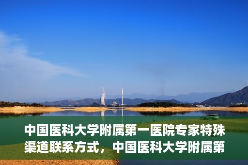 中国医科大学附属第一医院专家特殊渠道联系方式，中国医科大学附属第一医院专家特殊渠道联系专线揭秘