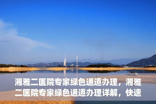 湘雅二医院专家绿色通道办理，湘雅二医院专家绿色通道办理详解，快速就医新途径揭秘