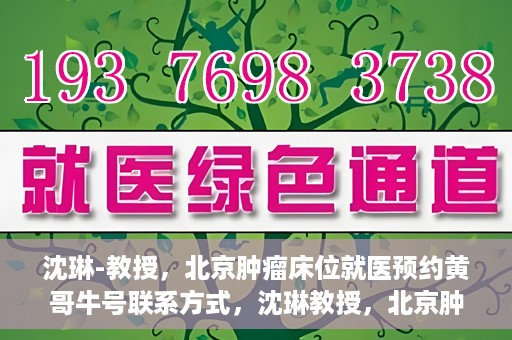 沈琳-教授，北京肿瘤床位就医预约黄哥牛号联系方式，沈琳教授，北京肿瘤床位预约热线及就医指南——黄哥牛号联系方式揭秘