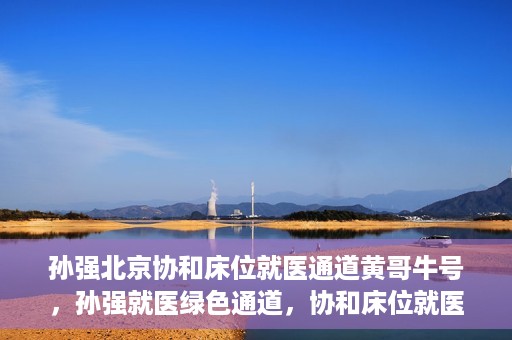 孙强北京协和床位就医通道黄哥牛号，孙强就医绿色通道，协和床位就医通道揭秘与黄哥牛号的力量