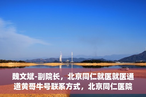 魏文斌-副院长，北京同仁就医就医通道黄哥牛号联系方式，北京同仁医院副院长魏文斌与就医通道，黄哥牛号联系方式揭秘